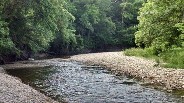 The creek at Little Creek Opry House
