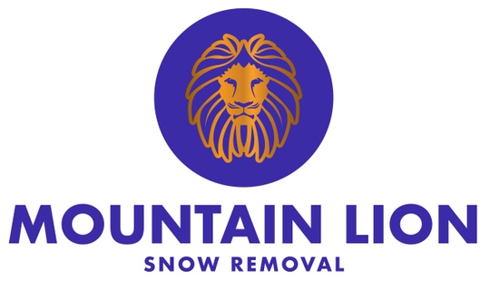 Mountain Lion Snow