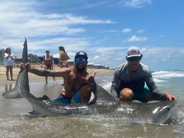 Custom Shark Rigs Stuart, FL