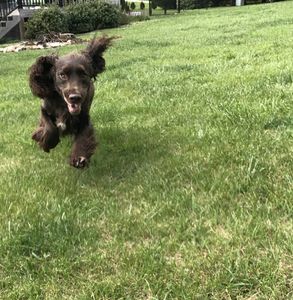 It's hard to be homesick when you have so much to see and do.