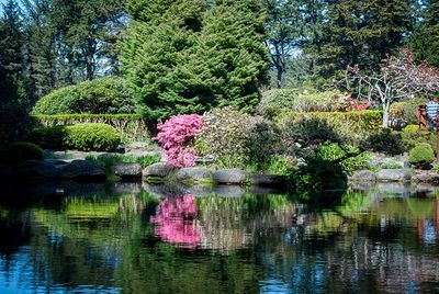 Serene garden pond with colorful bushes and trees reflected in the water.