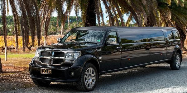 Black Dodge Nitro parked in front of the iconic Barossa Palm trees - taken at Seppeltsfield winery