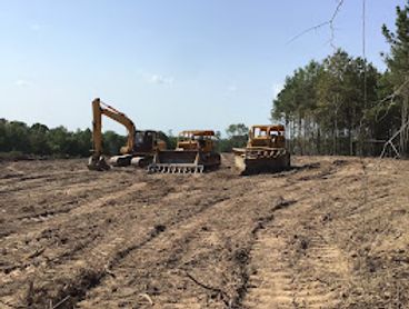 Clearing land with a v blade for cattle pasture