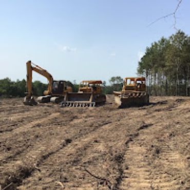 Clearing land with a v blade for cattle pasture