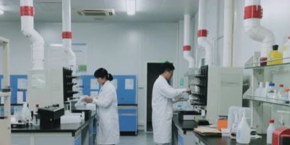 Two scientists working in a modern laboratory with white coats.