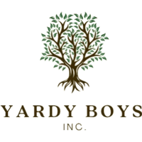 Yardy Boys