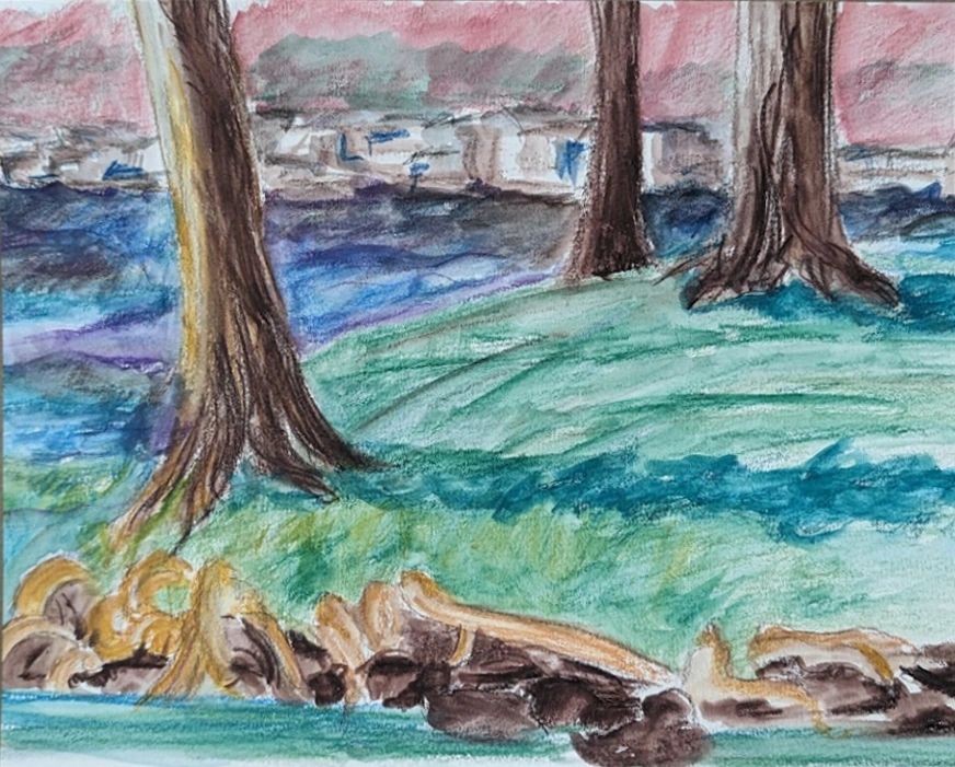work on paper watercolor pencil landscape Kanuga trees land shadow