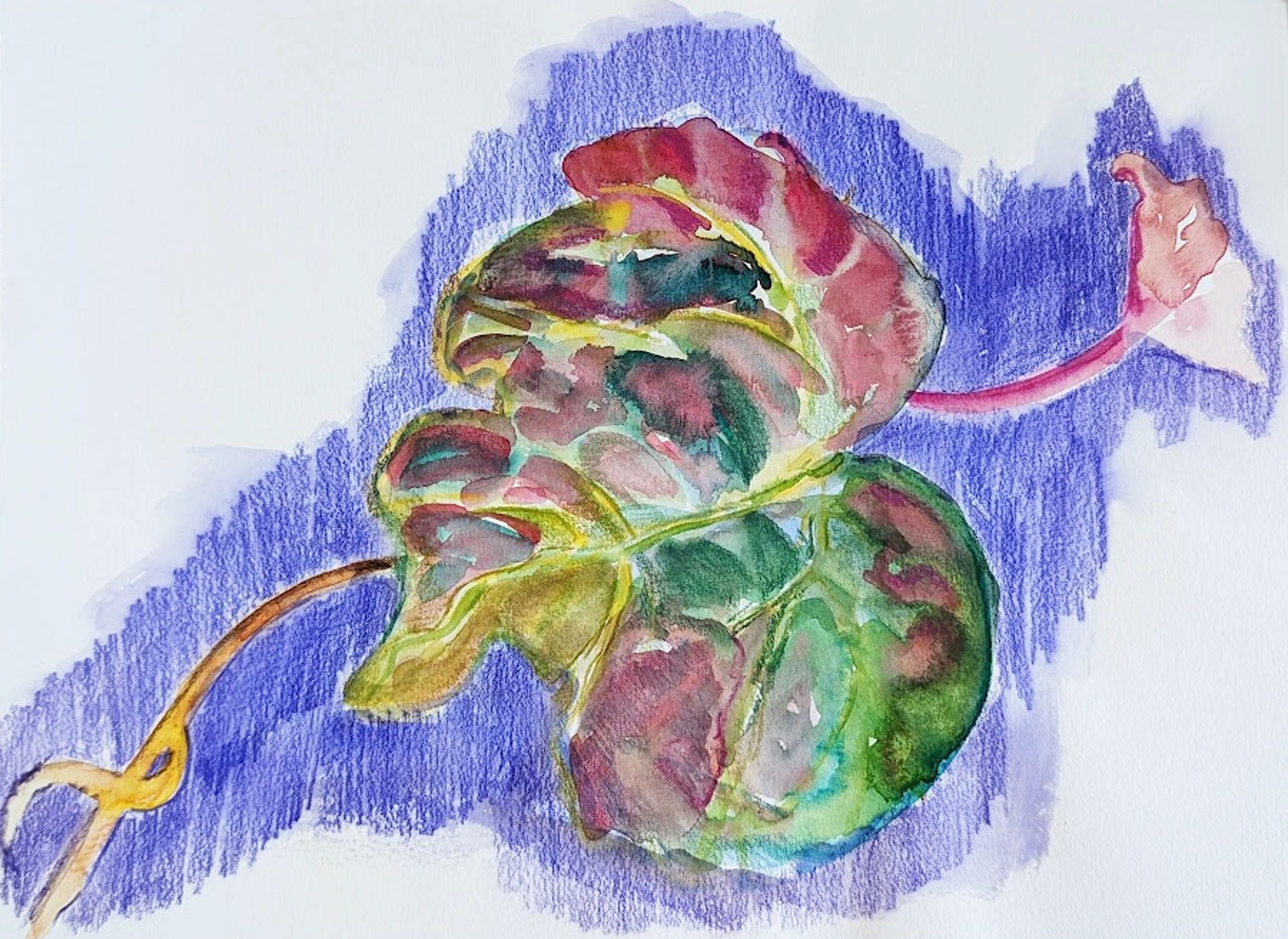 watercolor pencil leaf sketch paper rough impressionistic drawing