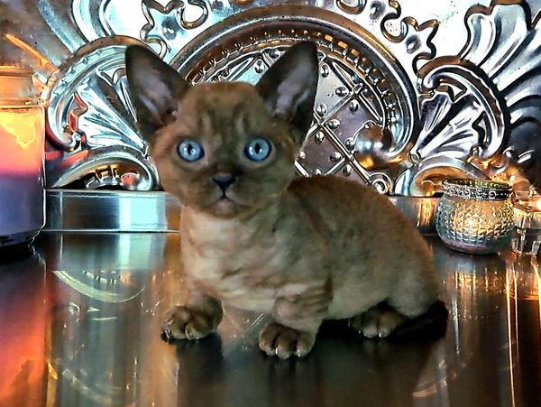 Image depicts a scenic landscape with mountains, a lake, and a clear blue sky.