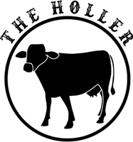 The Holler Band