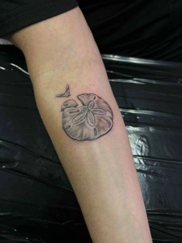 realistic sand dollar beach tattoo done by DJ in ft myers florida edison mall tattoo shop