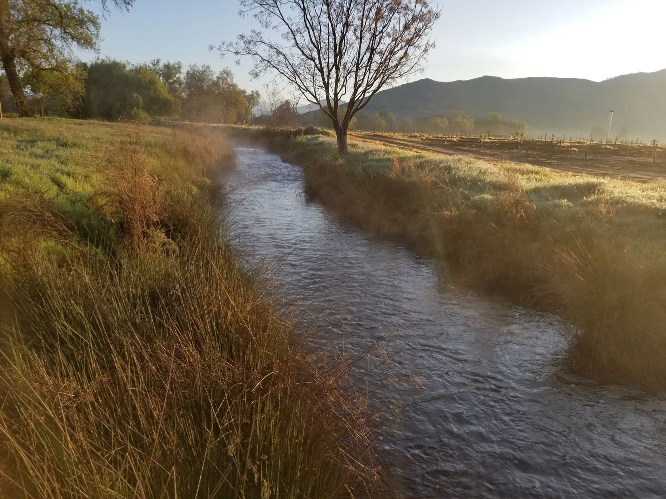 A peaceful stream flowing through grassy fields under morning sunlight.