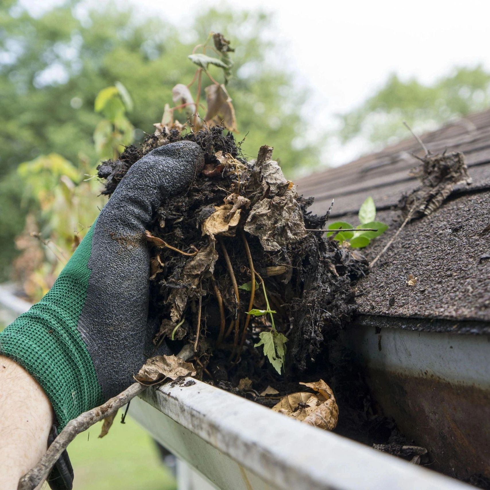 Image of a hand cleaning a gutter