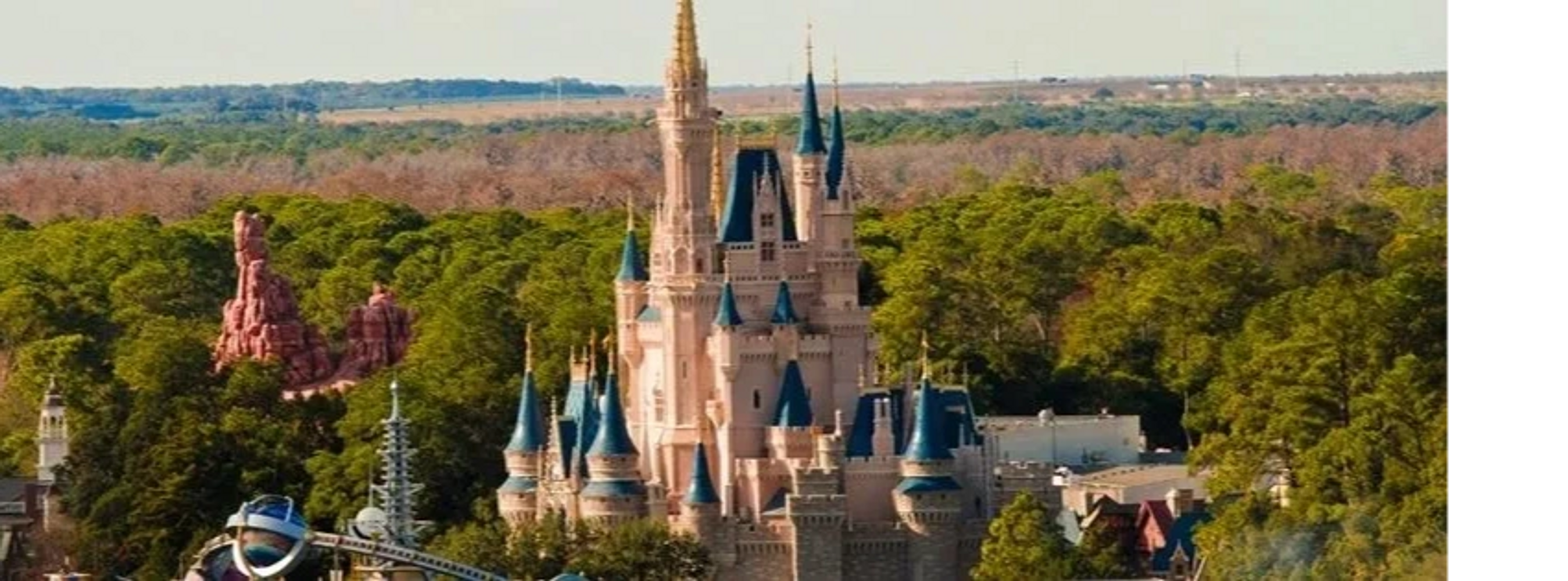 Photo courtesy of Disney Tourist Blog