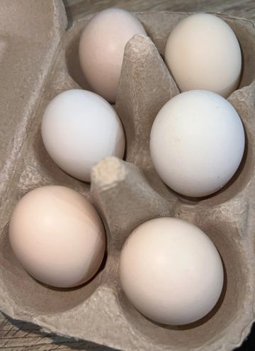 Half dozen cream colored small sized eggs in a brown egg carton.