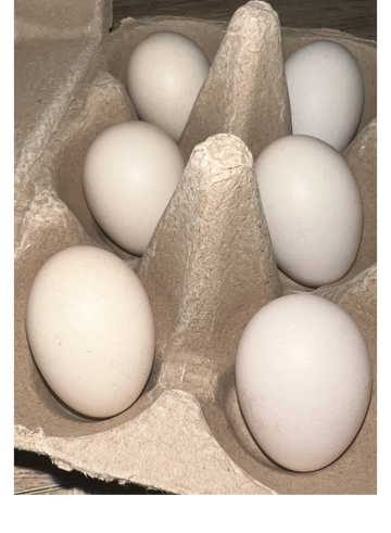 6 extra small cream colored eggs in a brown egg carton