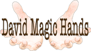 David Magic Hands