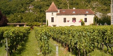 Wine Tasting Tours, The Lot Valley, South West France