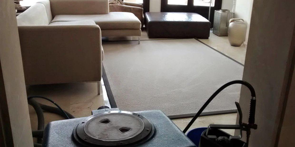 sofa cleaning, carpet cleaning
