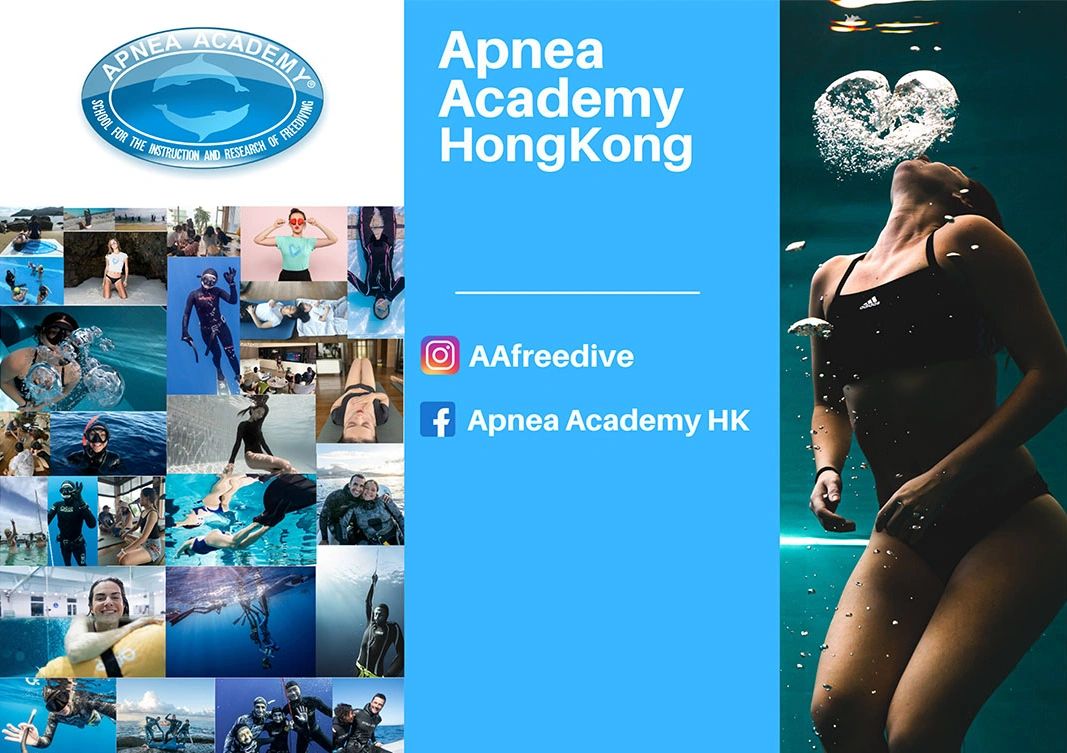 Stack of books next to pencils in a holder and a camera.