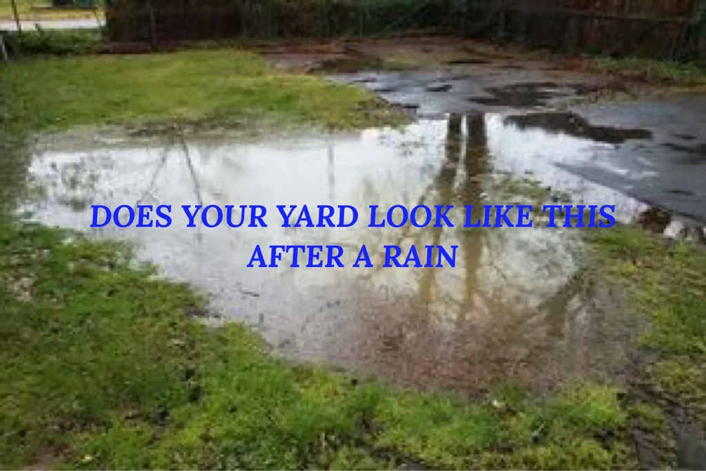 Yard drainage problem