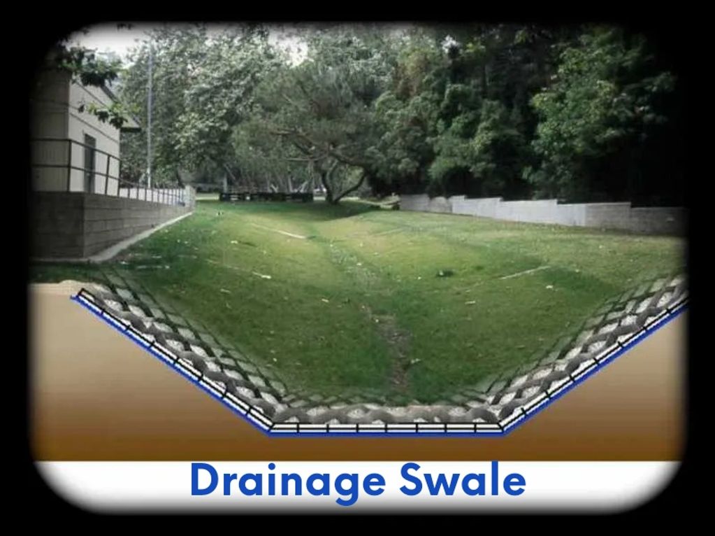 Drainage swale