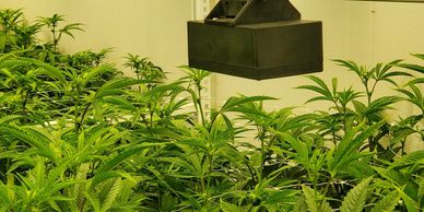 Introducing PACTECH Vision, our revolutionary machine learning camera system that is set to revoluti