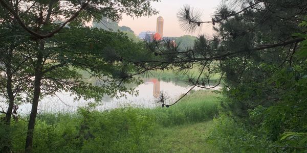 A beautiful view of the stables