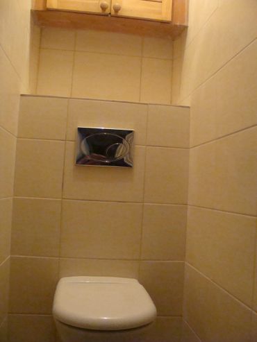 Bathroom tiling & toilet
