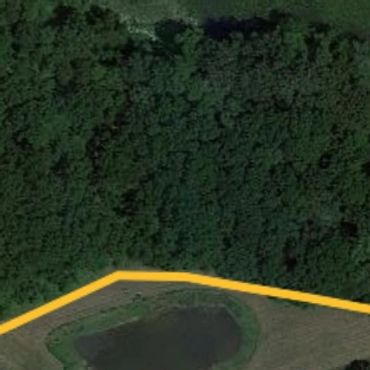 North Carrington pond