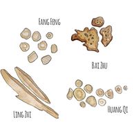 These herbs are traditionally used to aid digestion and boost qi