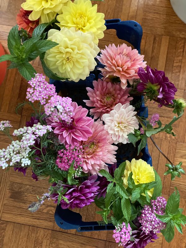 Mixed floral bouquets
