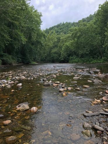 Cowpasture River at Big Bend Farm