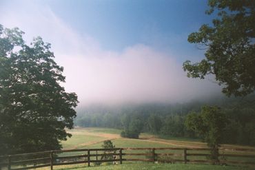 Summer morning at The Cabin.
