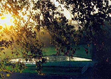 Morning at Apple Hill B & B.