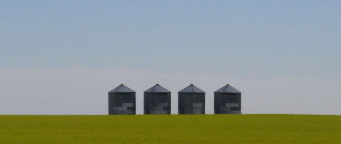 4 Grain Bins sit above a field in a yellow bloom