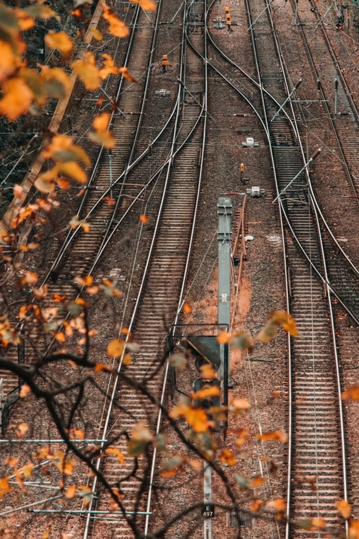 Stretch of railway showing tracks criss-crossing and Autumn leaves.