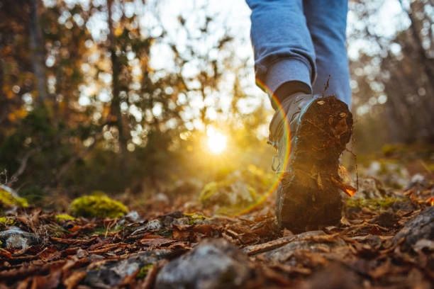 Tamworth counselling male mental health