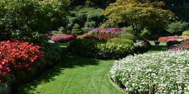landscape design Reno NV
custom landscaping Lake Tahoe
landscaping contractor Sparks NV
residential