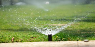 sprinkler repair Reno
irrigation installation Sparks
drip irrigation Lake Tahoe
smart irrigation sys