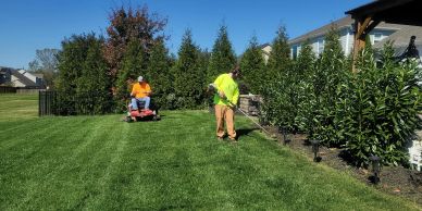 Lawn mowing
Seasonal cleanup
Weed control
Bush trimming
Property maintenance
Commercial landscaping