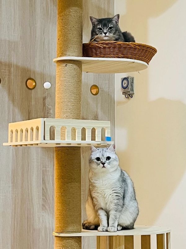 家長的心理建設