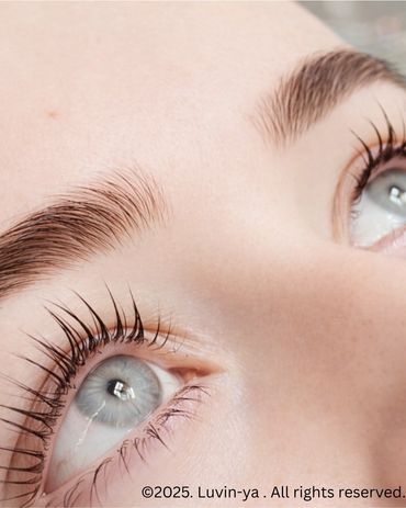 ©2025. Luvin-ya . All rights reserved.