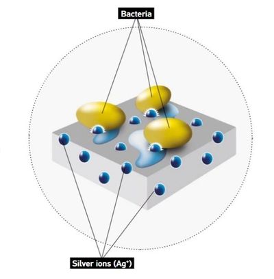 bacteria vs silver ions