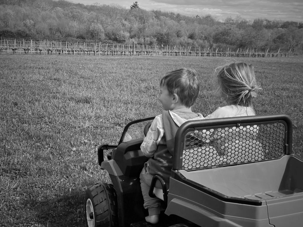 Brother and sister on a wine vineyard looking at the vines and their future.