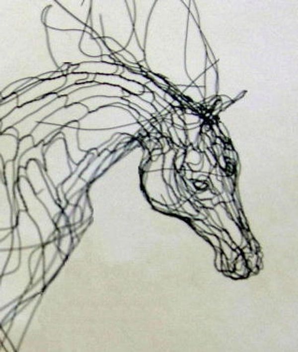 Arabian horse head, 3D study, equine wire sculpture by Elizabeth Berrien