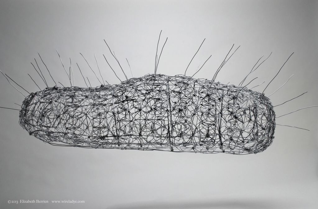 "Cocoon" wire sculpture Hyundai Genesis prototype by Elizabeth Berrien