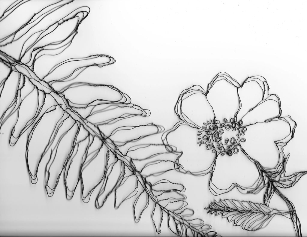 Wire sculpture fern and wildflower blossom, detail studies upon which the final wire wall art instal