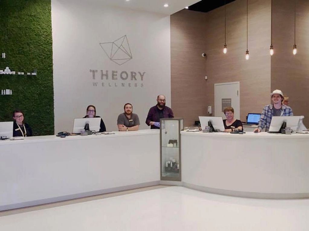 "Theory Wellness" Signage, 2D wire sculpture wall art by Elizabeth Berrien