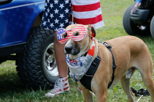 Fourth of July Pet Parade -  Goose Bay Marina & Campground - Welcome, MD - Oasis Marinas